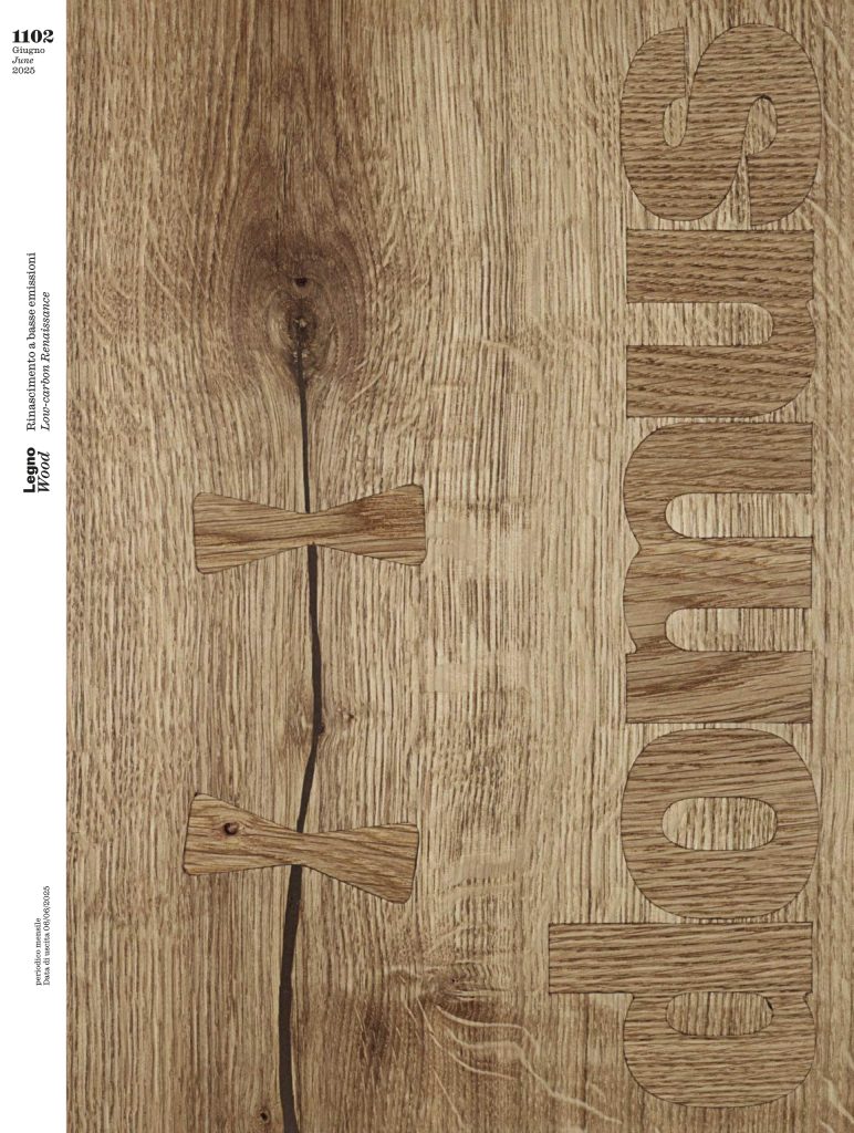 Domus 2025年06期